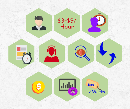 popular virtual staffing